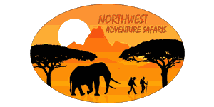 Nas-Northwest Wilderness Safaris Logo