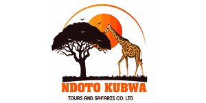 Ndoto Kubwa Tours and Safaris Logo