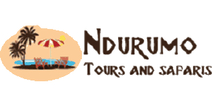 Ndurumo Tours and Safaris Logo