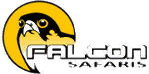 Falcon Safaris Logo