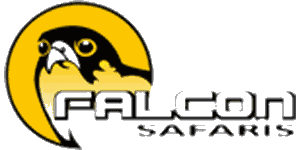 Falcon Safaris