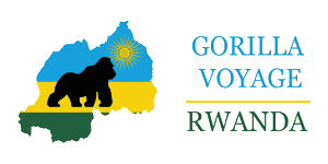 Gorilla Voyage Rwanda