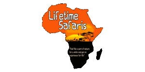Lifetime Safaris logo