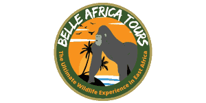 Belle Africa Tours logo