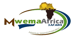 Mwema Africa Safaris Logo