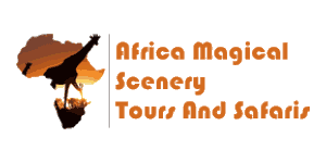 Africa Magical Scenery Tours and Safaris Logo