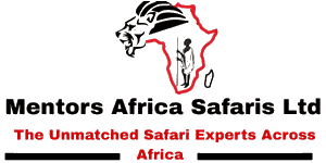 Mentors Africa Safaris Logo