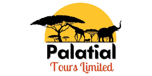 Palatial Tours