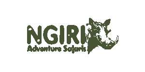 Ngiri Adventures