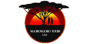 Ngorongoro Tours   Logo