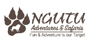 Ngutu Adventures & Safaris Logo