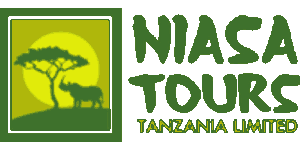Niasa Tours Tanzania  Logo