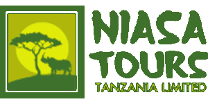 Niasa Tours Tanzania  logo