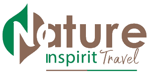 Nature in Spirit Travel logo