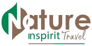 Nature in Spirit Travel Logo