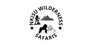 Nkisu Wilderness Safaris Logo