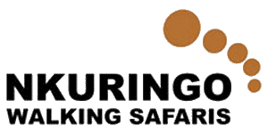 Nkuringo Walking Safaris