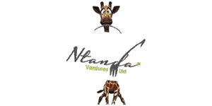 Ntanda Ventures Logo