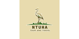 Ntuha Tour and Travel  Logo