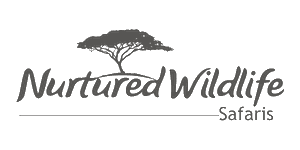 Nurtured Wildlife Safari Tours Logo