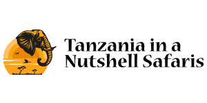 Tanzania In A Nutshell Safaris Logo