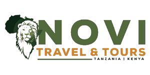 Novi Travel & Tours Logo