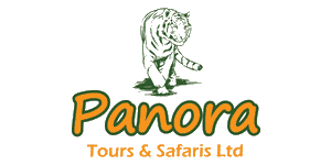 Panora Tours & Safaris  