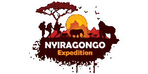 Nyiragongo Expedition Logo
