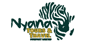 Nyana Tours and Travel Logo