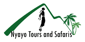 Nyayo Tours and Safaris