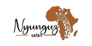 Nyunguz Safari Logo