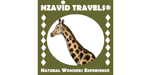 Nzavid Travels