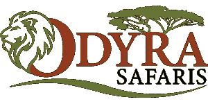 Odyra Safaris Logo
