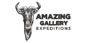 Amazing Gallery Expeditions Logo