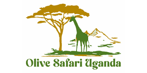 Olive Safari Uganda Logo