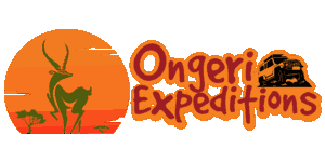 Ongeri Expeditions logo