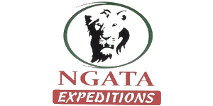 Ngata expeditions Tours and Safaris Ltd