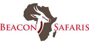 Beacon Safaris logo