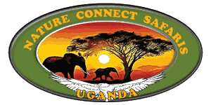 Nature Connect Safaris Uganda Logo