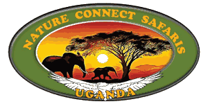 Nature Connect Safaris Uganda Nature Connect Safaris Uganda