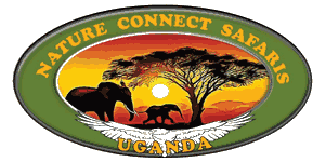 Nature Connect Safaris Uganda