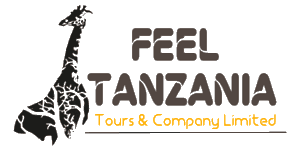 Feel Tanzania Tours  logo