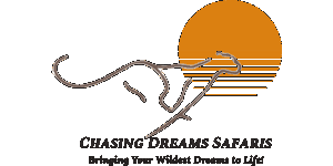 Chasing Dreams Safaris