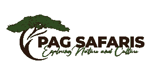PAG Tours and Safaris  Logo