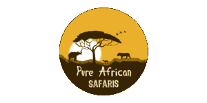 E & D Pure African Safaris 