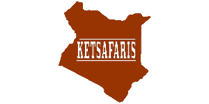 Kenya Expresso Tours and Safaris Logo