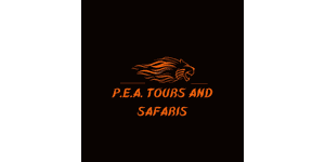 PEA Tours and Safaris logo