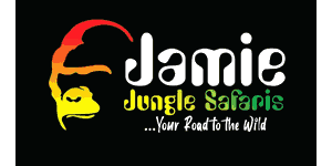 Reply from Jamie Jungle Safaris