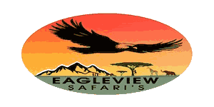 Eagleview Safaris Logo