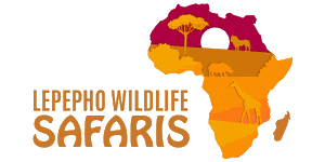 Lepepho Wildlife Safaris